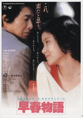 雾港航线